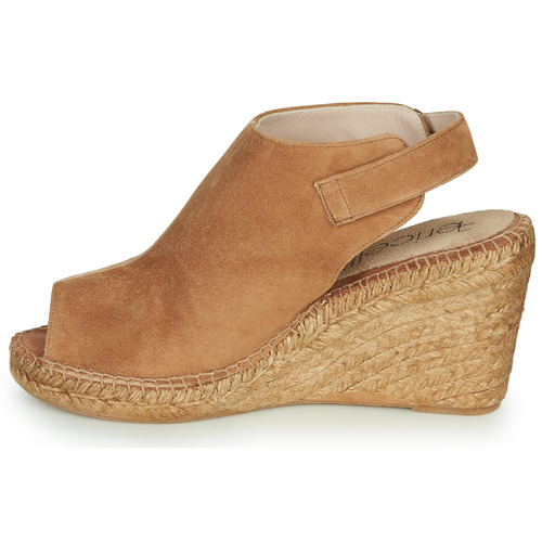Fericelli - MAUD - Camel