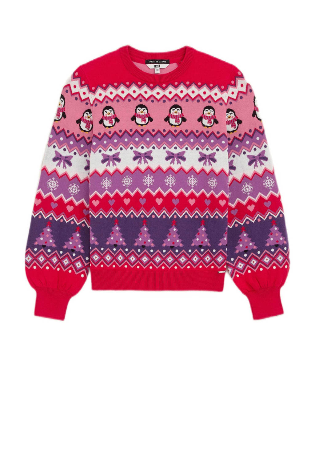 WE Fashion kersttrui paars