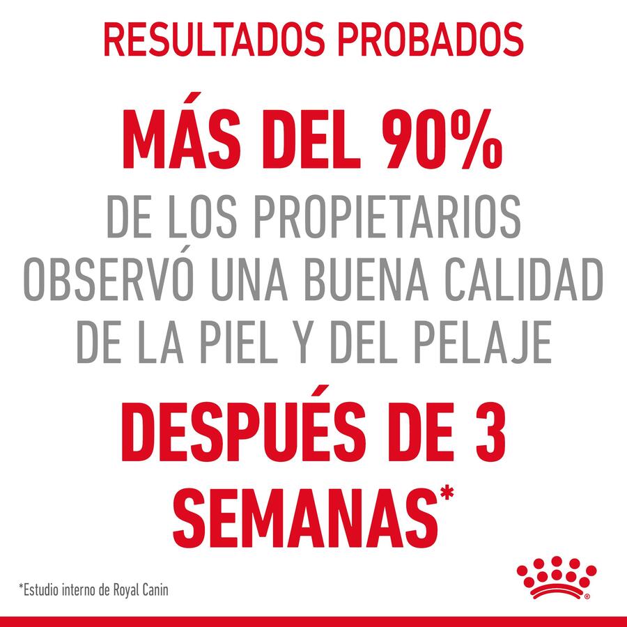 Royal Canin Intense Beauty gelatina sobre para gatos