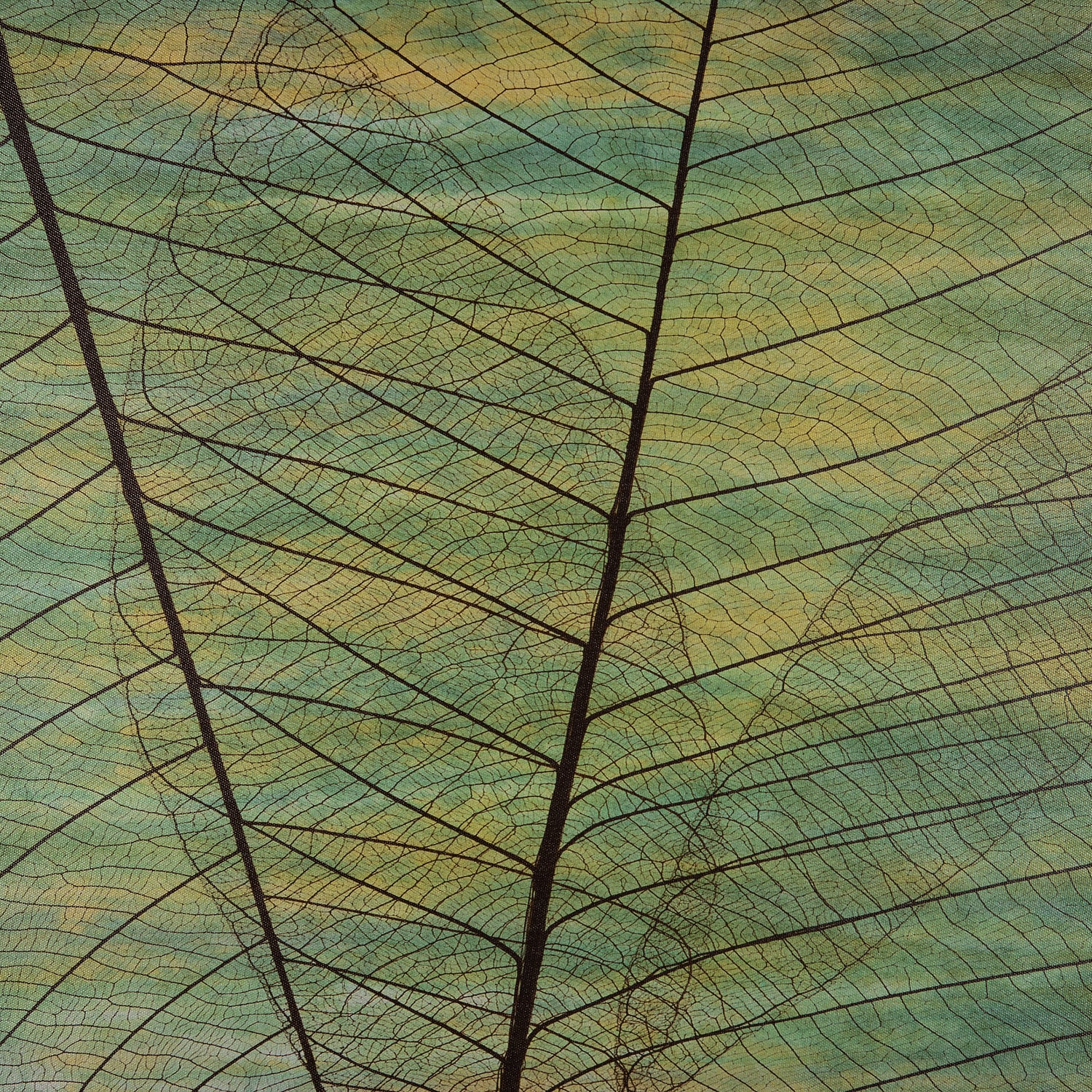 Intratuin tuinschilderij bladnerf groen 50 x 50 cm