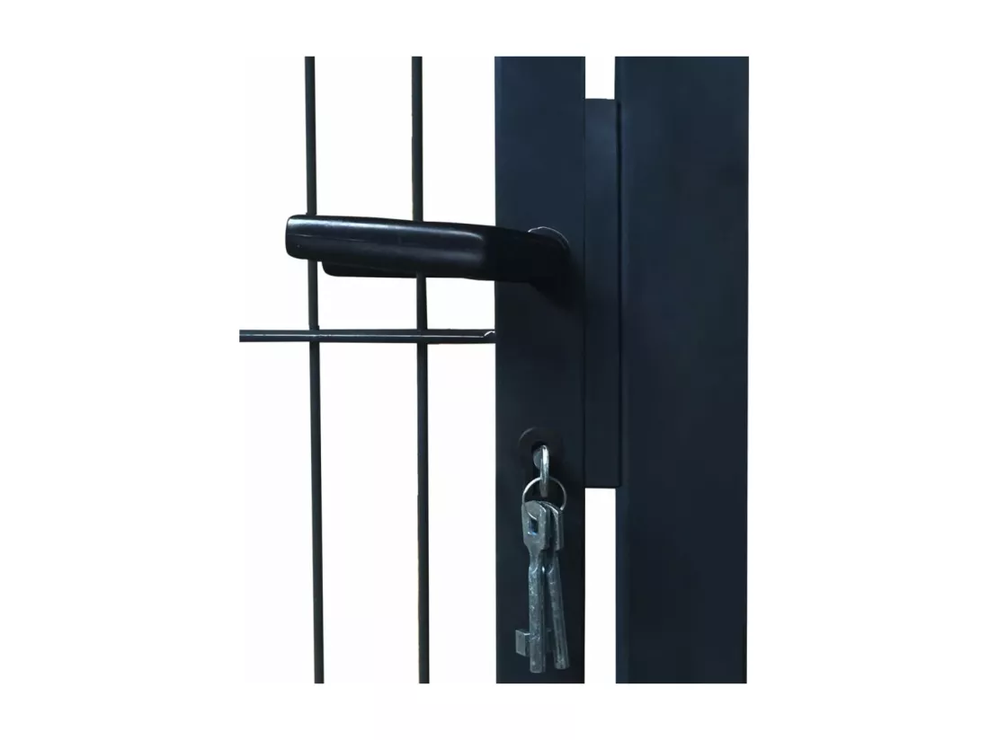 Portillon 2D (simple) Gris anthracite 106x210 cm