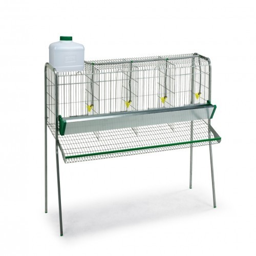 Bateria Gaun de gaiolas para galinhas com compartimentos