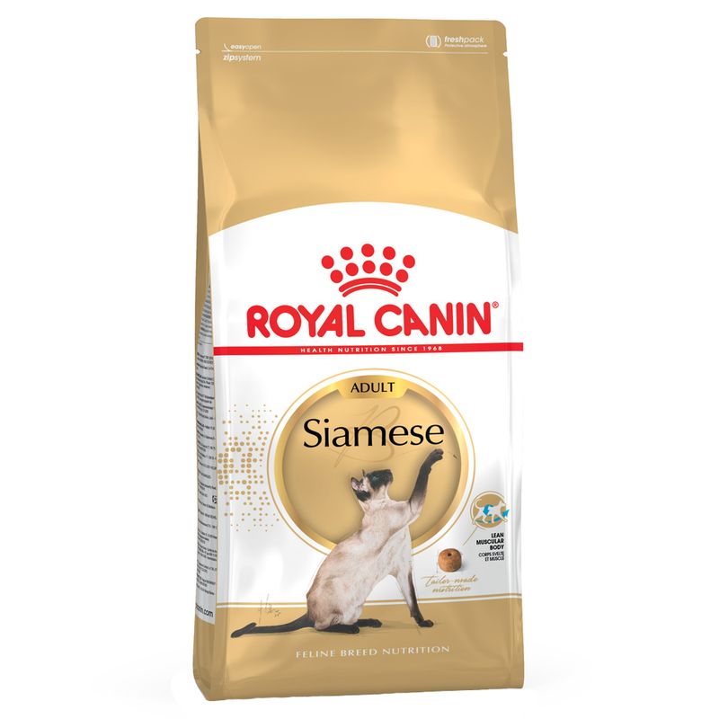 Royal Canin Siamois Adult à prix discount sur bitiba.fr