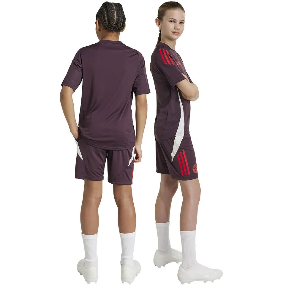 adidas FC Bayern Munich 24/25 Training Junior-Shorts