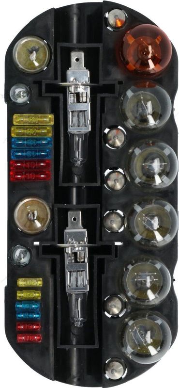 Carpoint - 30-Delige Gloeilampenset - H1-Lampen - Zekeringen - Opbergbox
