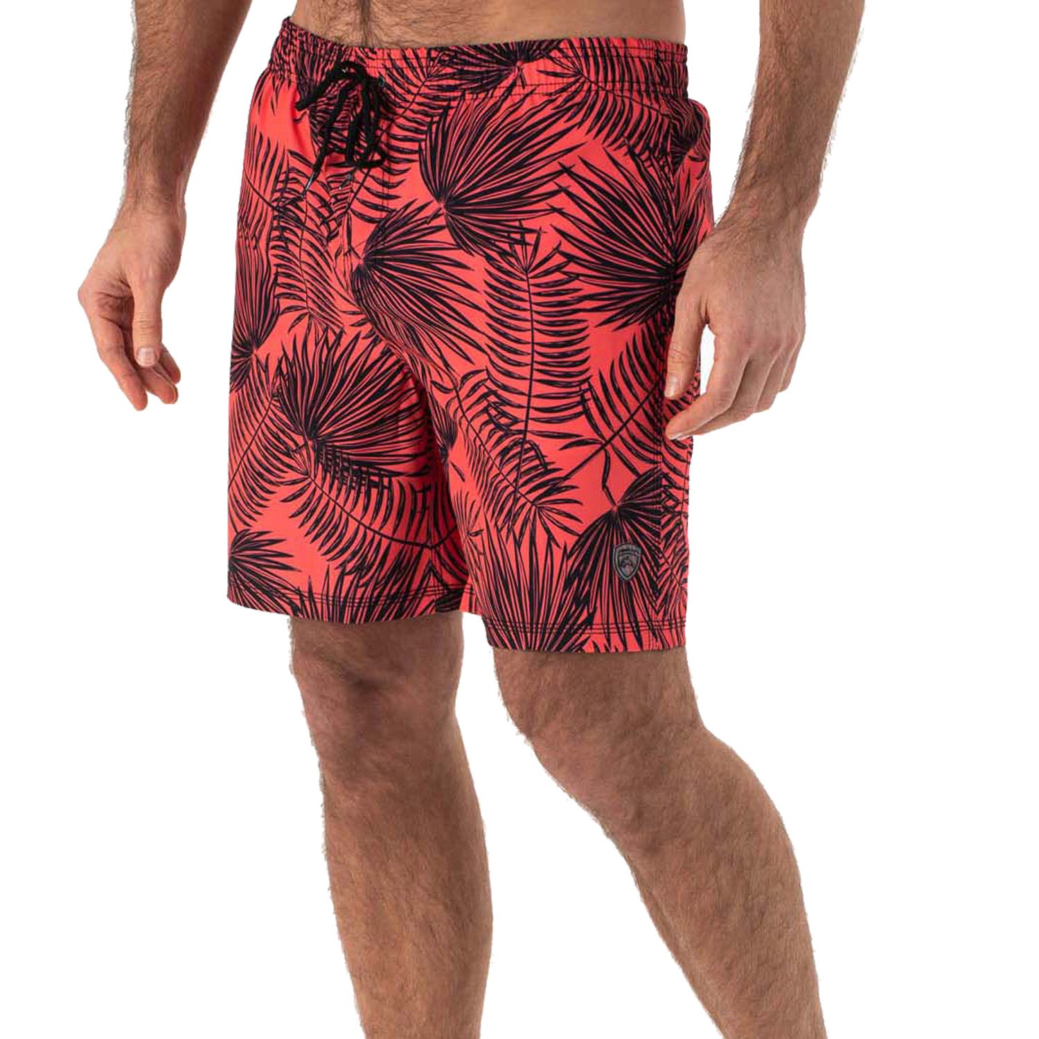 Falcon  Swimshort Dray