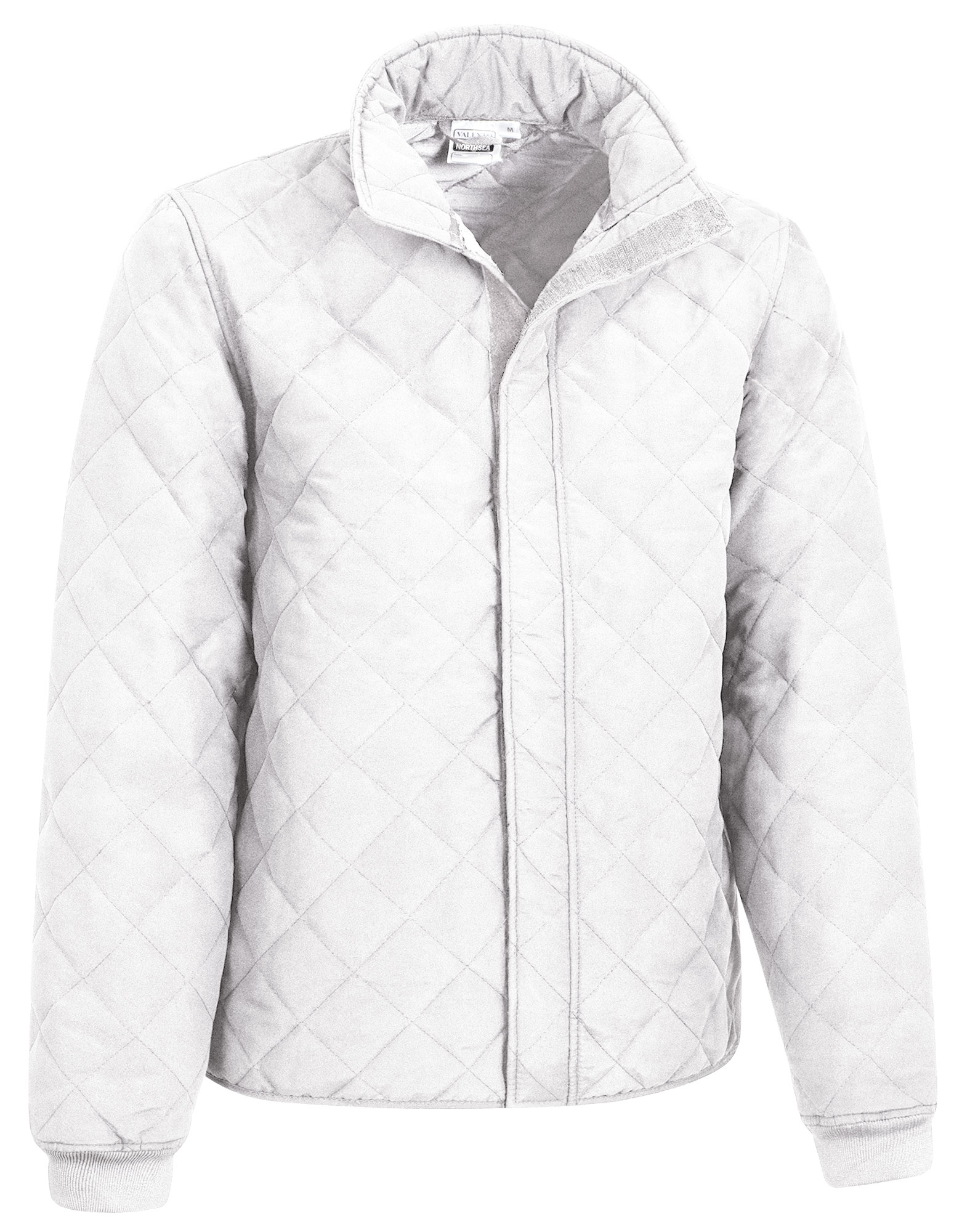 Valento CQVANOT - Veste NORTHSEA