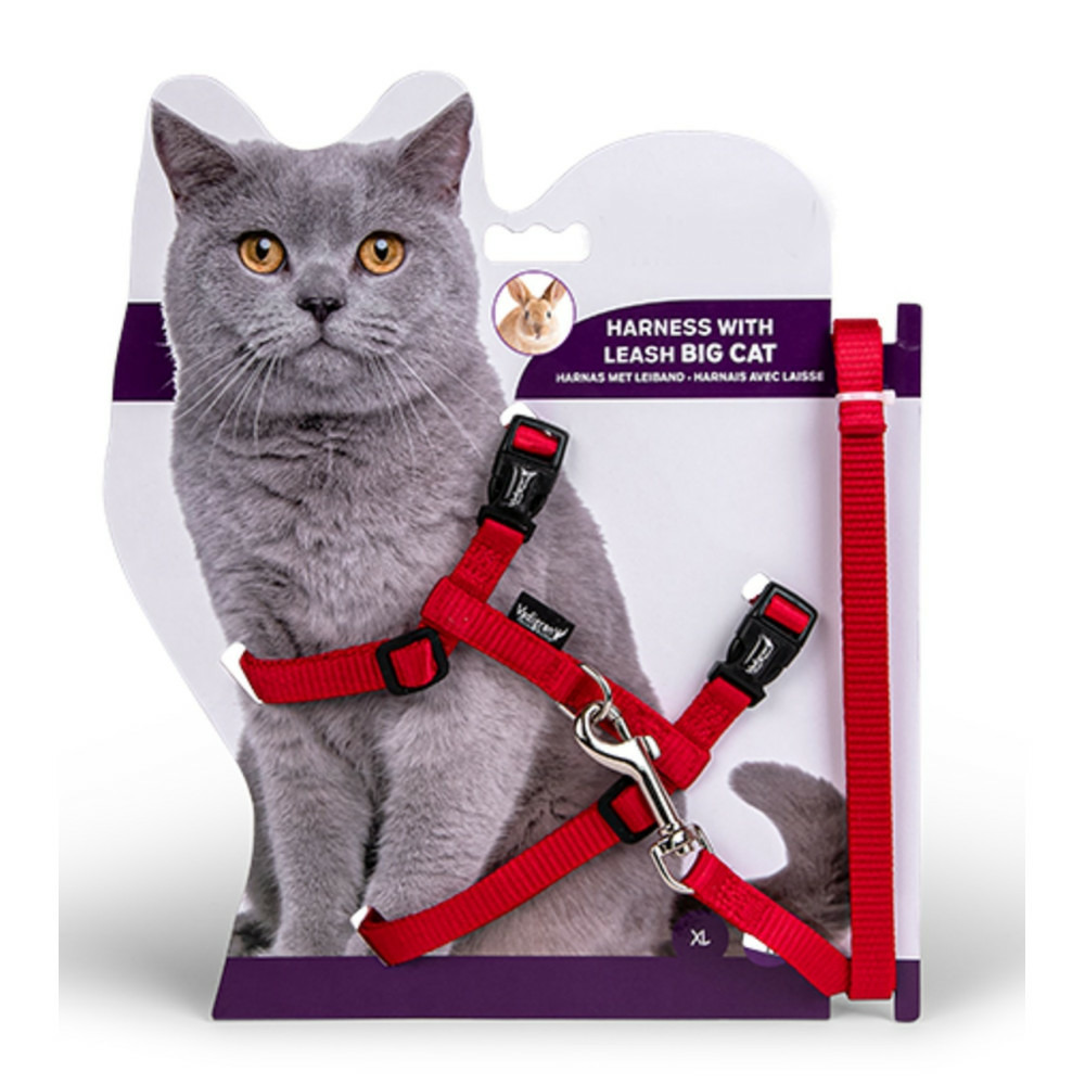 Harnais avec laisse 1.20m, couleur rouge, pour les grands chats.