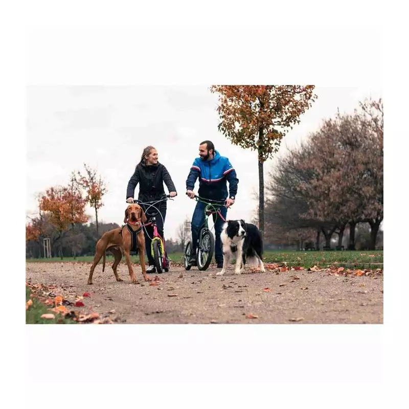 Kit Ecarteur Laisse Chien pour trottinette YEDOO DOG ADAPTER 25.4 FOR MEZEQ