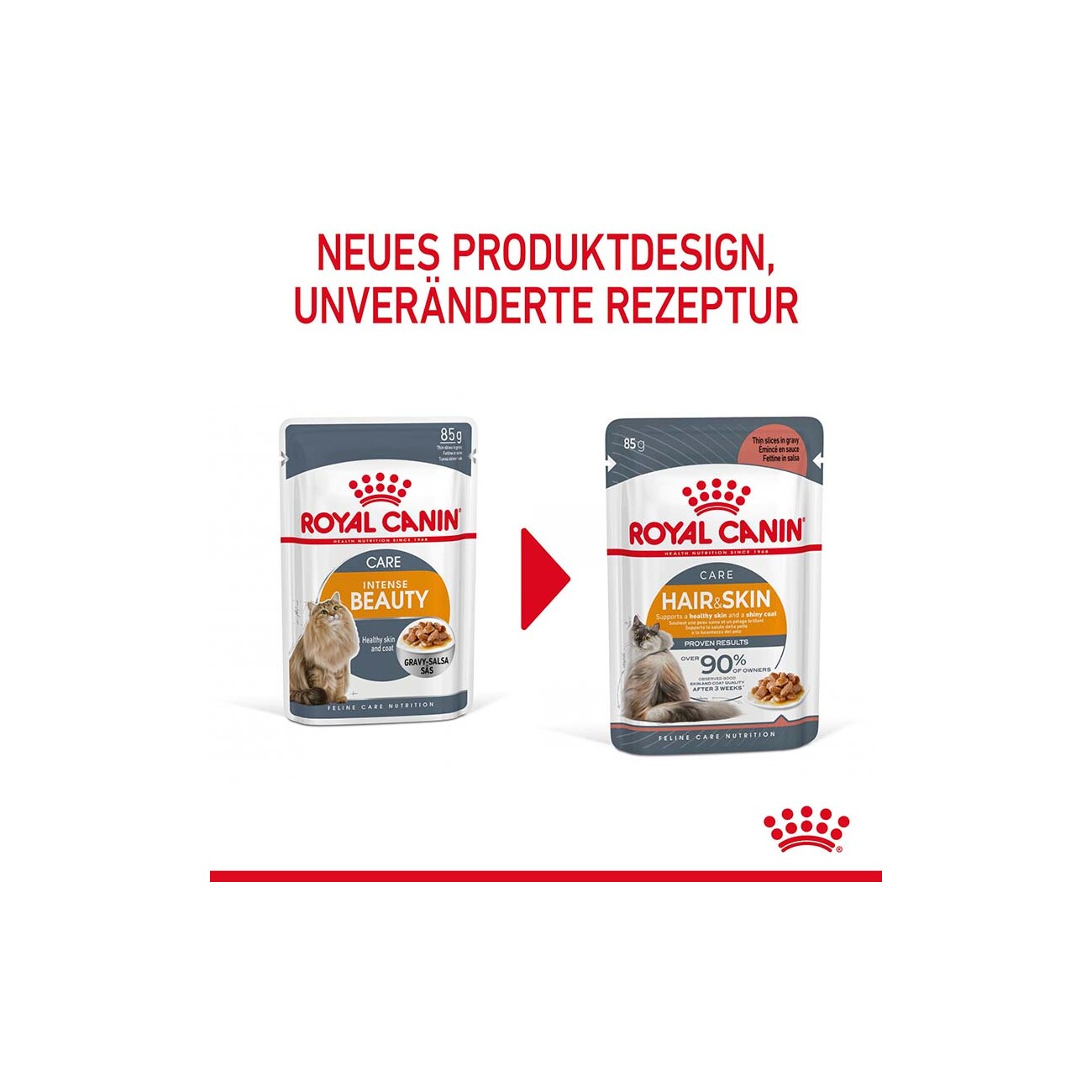 ROYAL CANIN Hair & Skin in Soße 12x85 g
