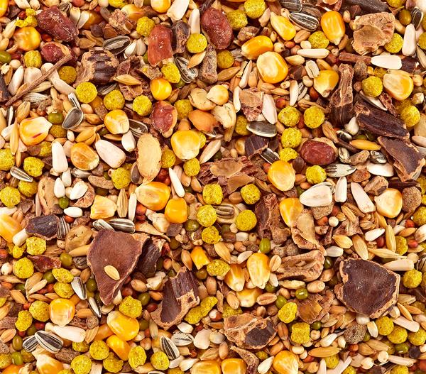 Vitakraft® Graupapageienfutter African