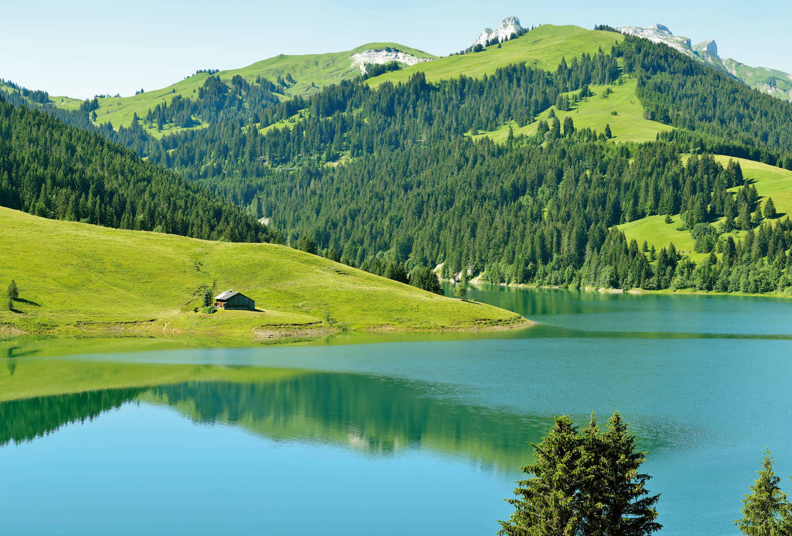 Fototapete DESIGNWALLS 2.0 - grün-blau - Alpen - 2,6 Meter