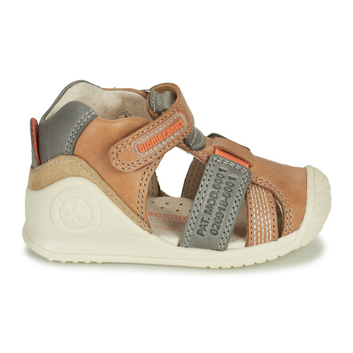 Biomecanics - 212135 - Cognac