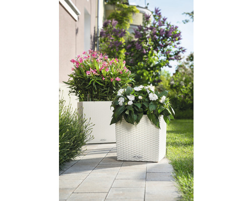 Lechuza Cube Cottage plantenbak, kunststof, 30x30x30 cm, wit