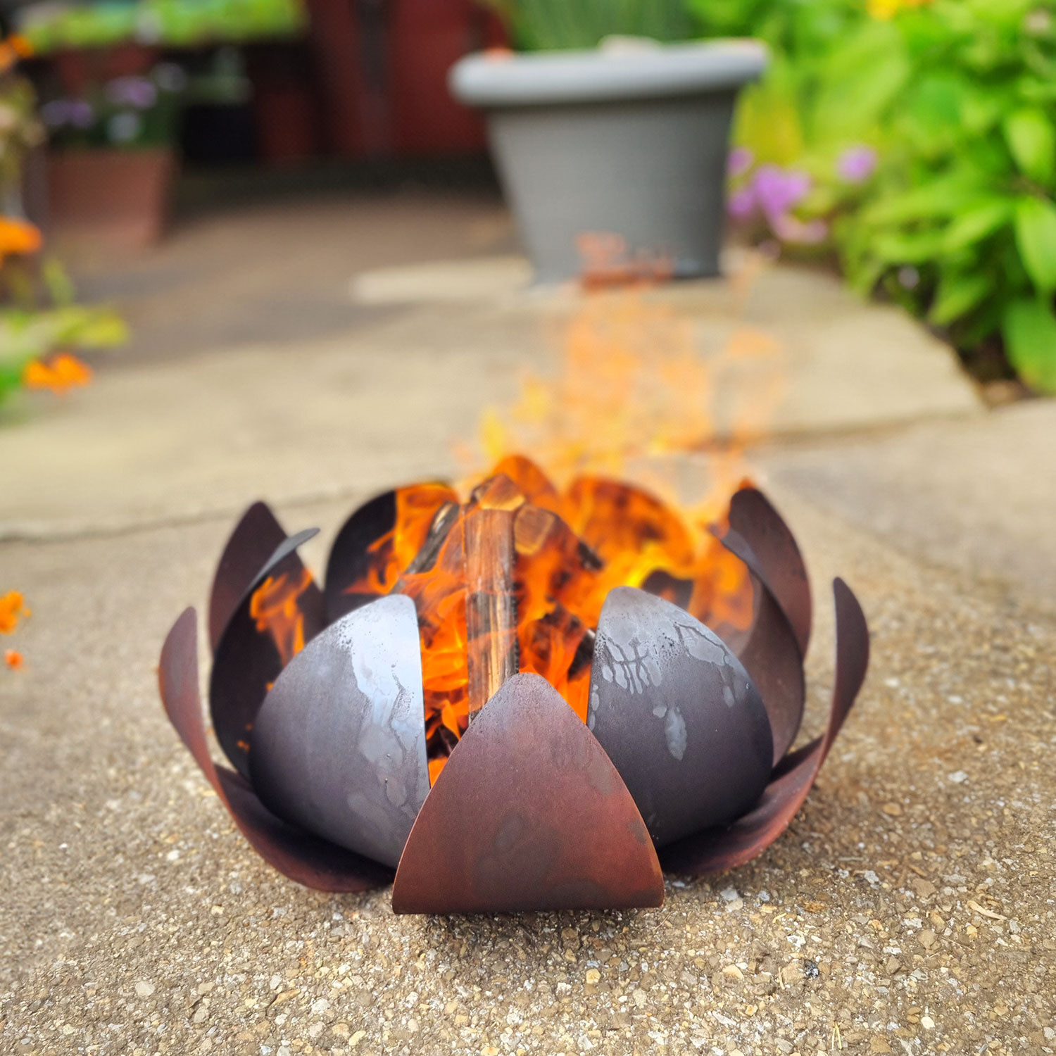 Nouvel Feuerschale Lotus