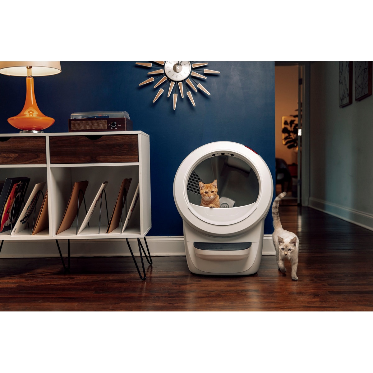 Whisker Litter-Robot 4 Automatic Cat Litter Box - Hvit