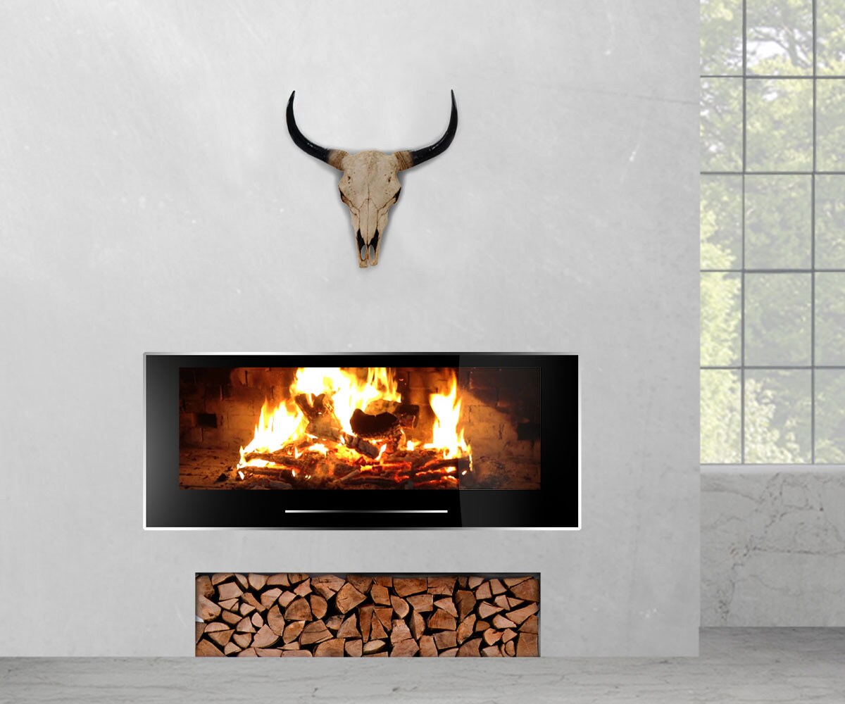 Deko Schädel 45cm MCW-T454, Polyresin Stier Bulle Longhorn Kopf Trophäe, In-/Outdoor ~ naturfarben