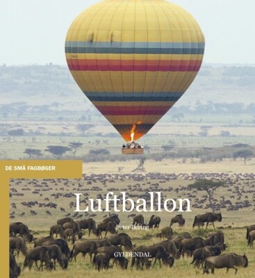Luftballon - Peter Bering - Bog