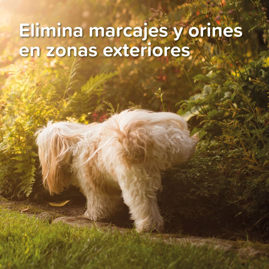Beaphar Gel para Treinamento ao Ar Livre para Cães e Gatos