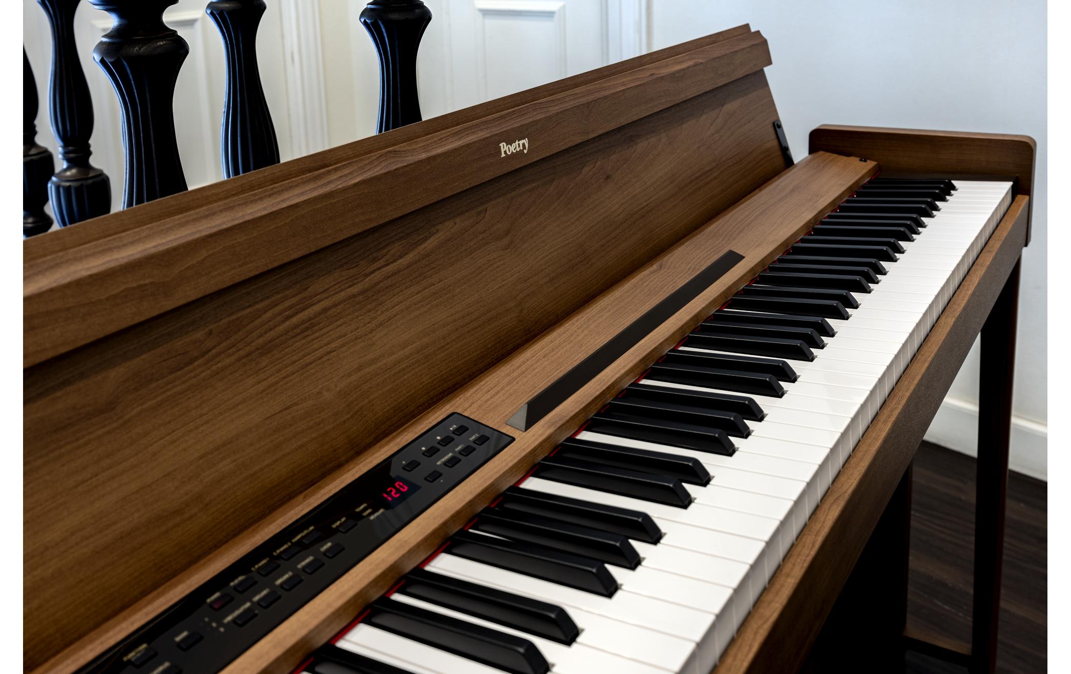 E-Piano Poetry<br>Das Piano für Chopin-Liebhaber