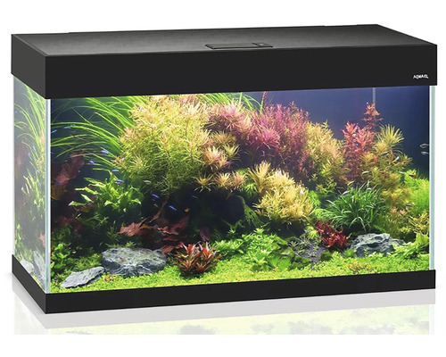 Aquarium AQUEL OPTI SET 125 met deksel en verlichting, 81 x 36 x 51 cm, zwart