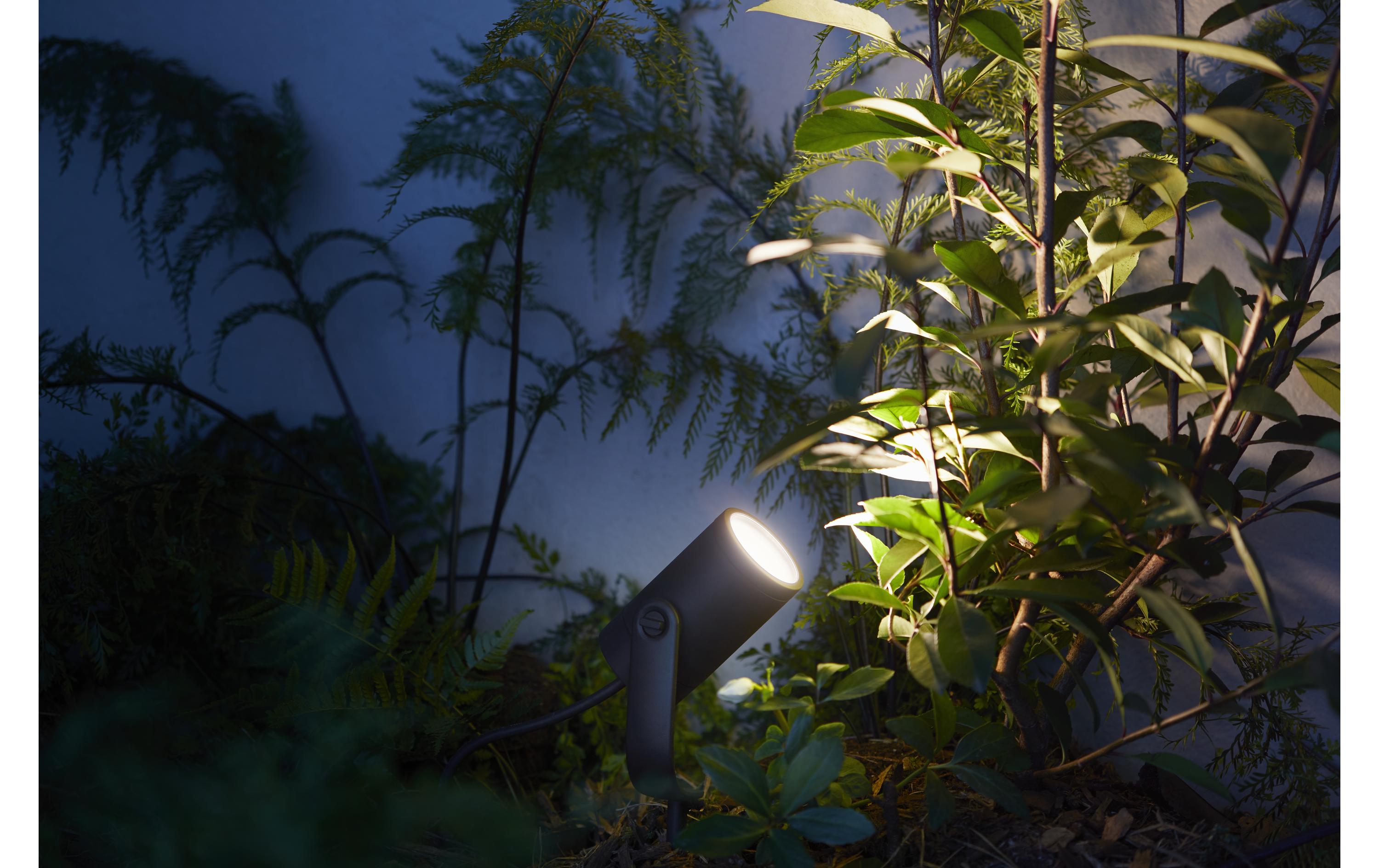 Outdoor Gartenspot White & Col. Amb. Lily Kit, Schwarz<br>Starterset für smarte Outdoor-Beleuchtung