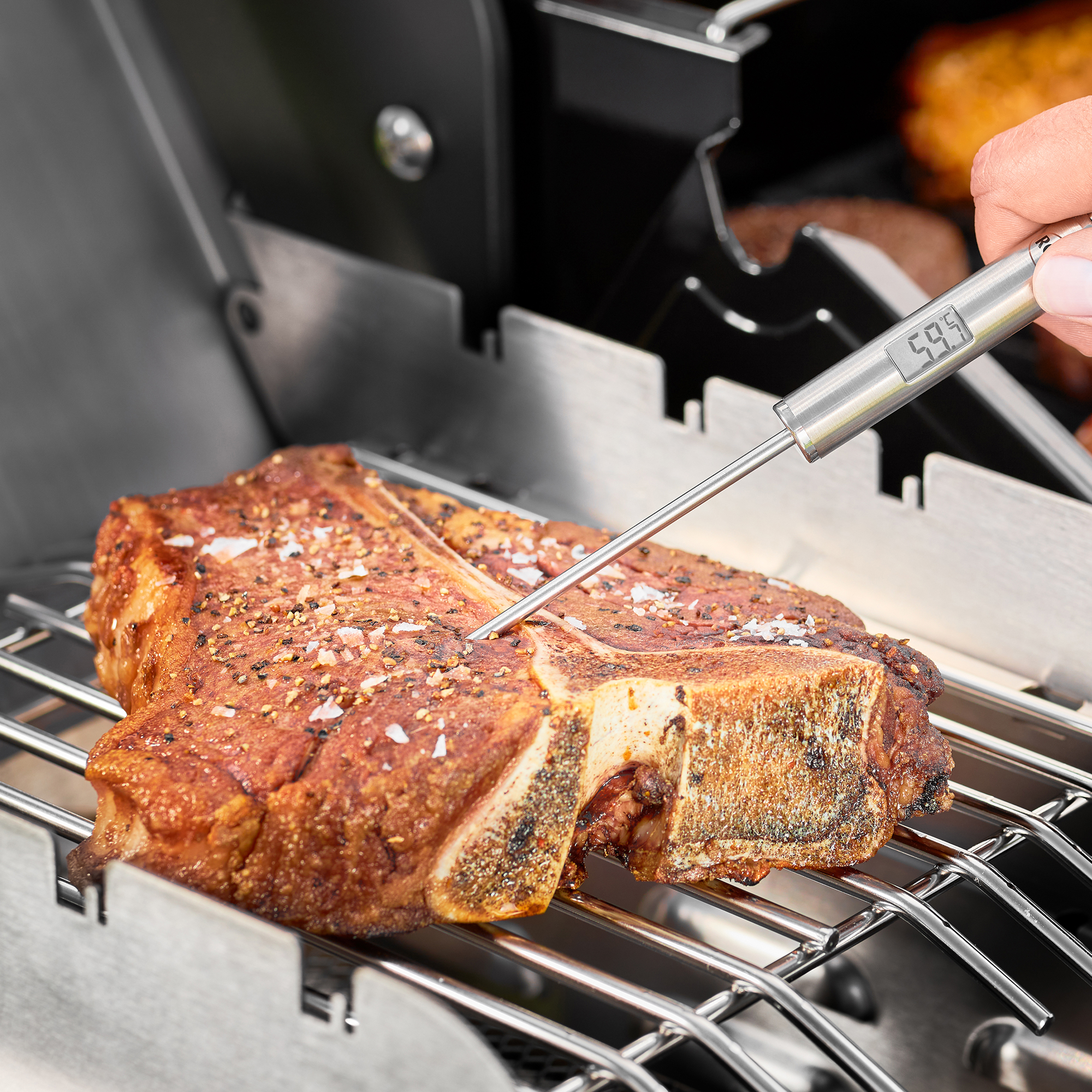 Barbecue Gourmet-Thermometer