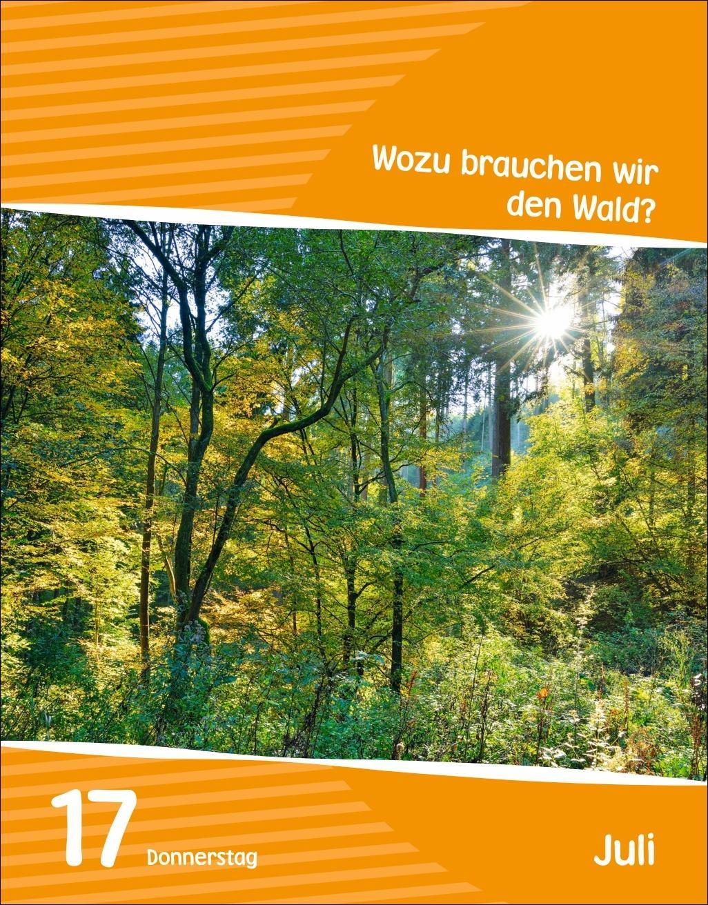 Wissen Kids Tagesabreißkalender 2025
