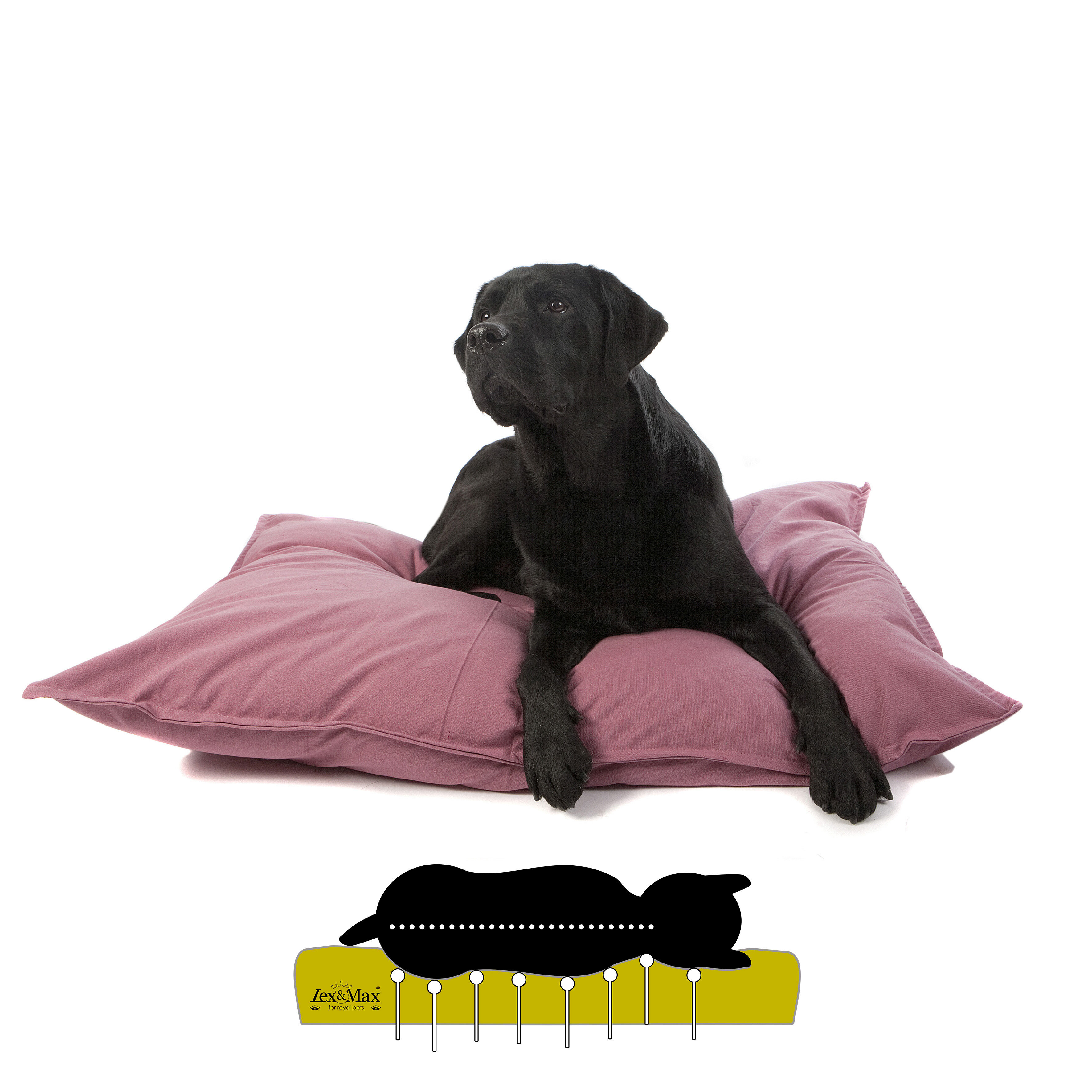 Lex & Max Tivoli - Orthopedisch Hondenkussen - Oudroze - 70x100x16 cm - L