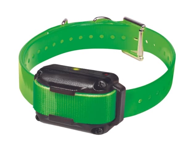Zolux Educational Additional Collar (to 487044)