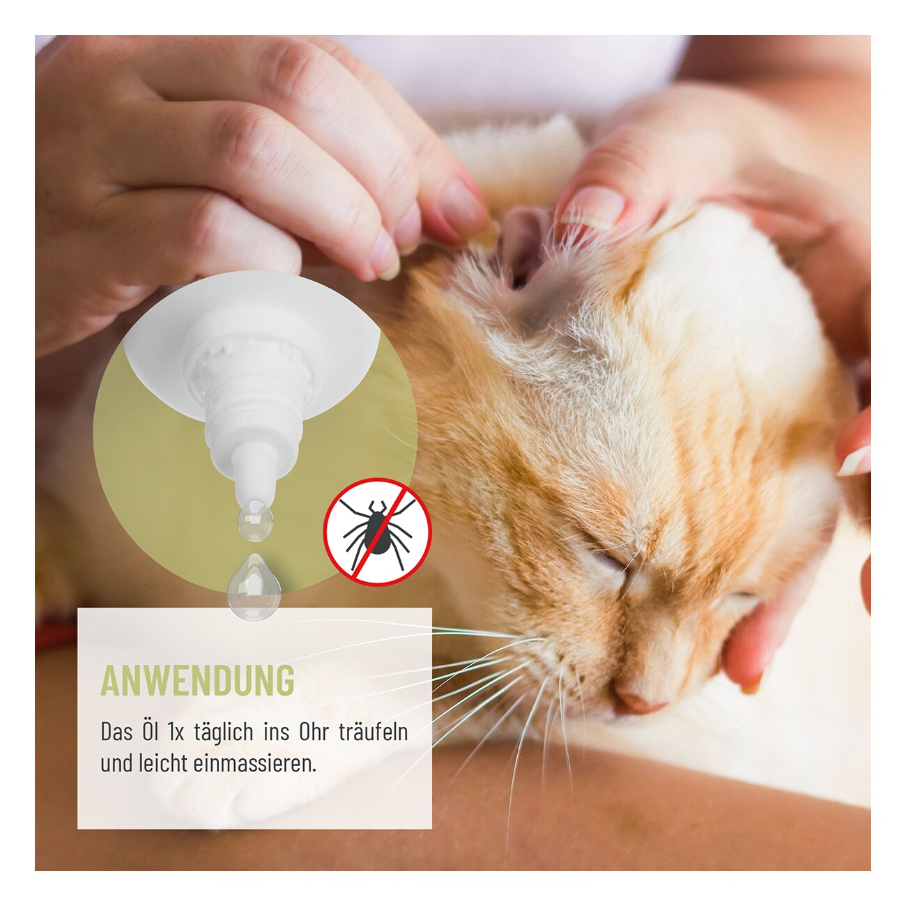 REAVET Ohrmilbenöl Plus 25ml