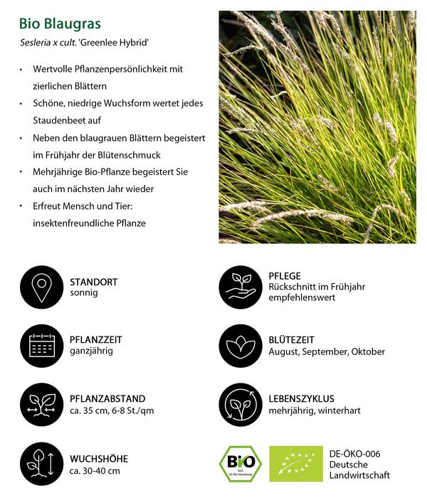 Bio Stauden-Set Einsteiger-Blütenmix,