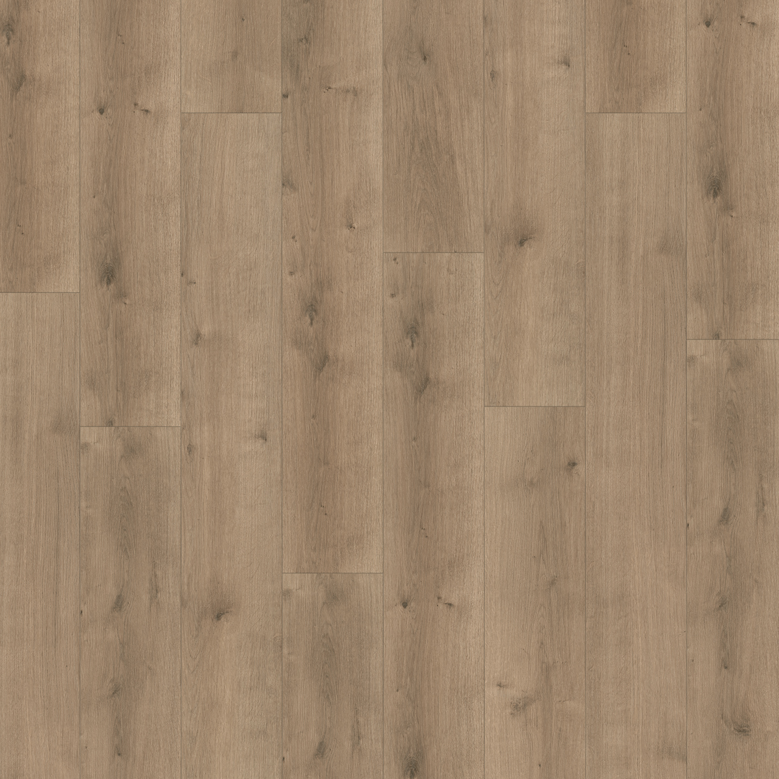 PARADOR Designboden MODULAR ONE - Eiche Pure perlgrau - 8 mm
