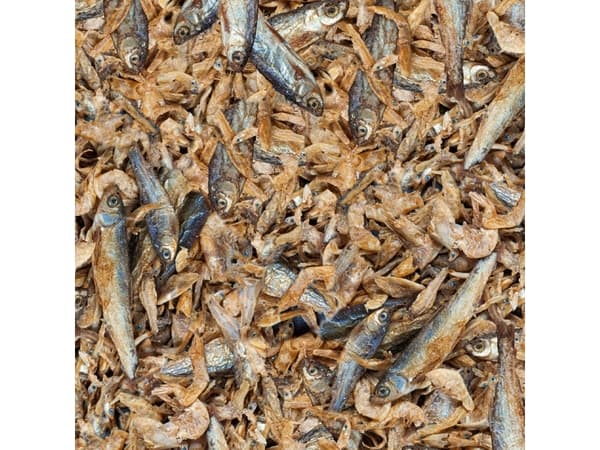 sera 01736, Skilpadde, Universell, 1000 ml, 220 g