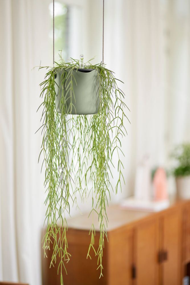 Elho hangpot B.for Swing lichtgroen 20,5 x 20 x 16,5 cm