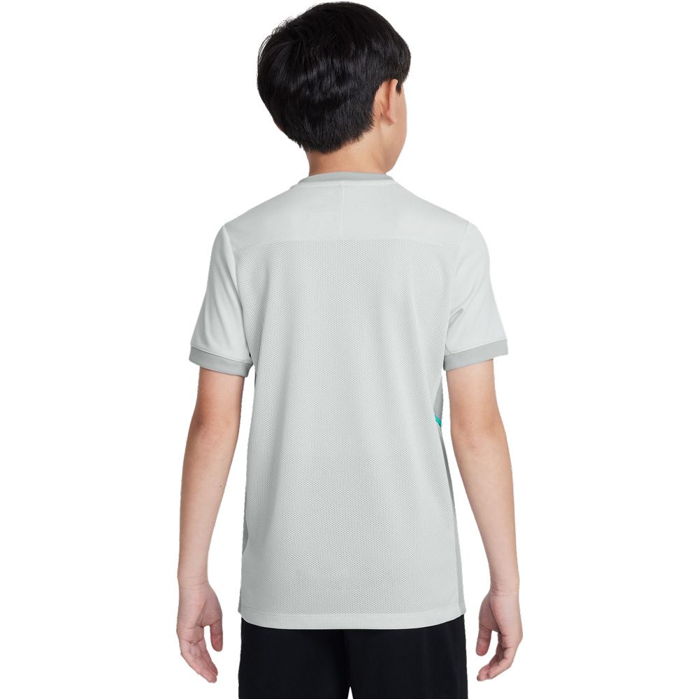Nike Academy 25 Dri-Fit T-Shirt Kinder photon dust