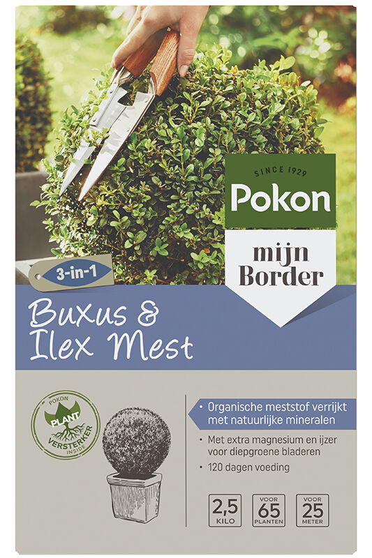 Pokon Buxus voeding - Siertuinmeststof - 2.5 Kilogram