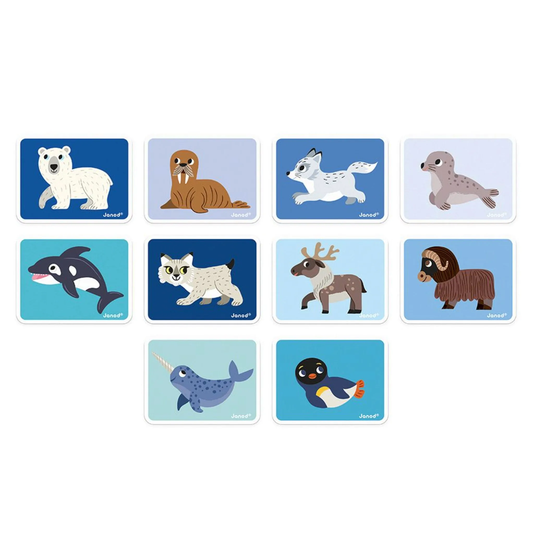 Janod Livre Magnétique Animaux Polaires