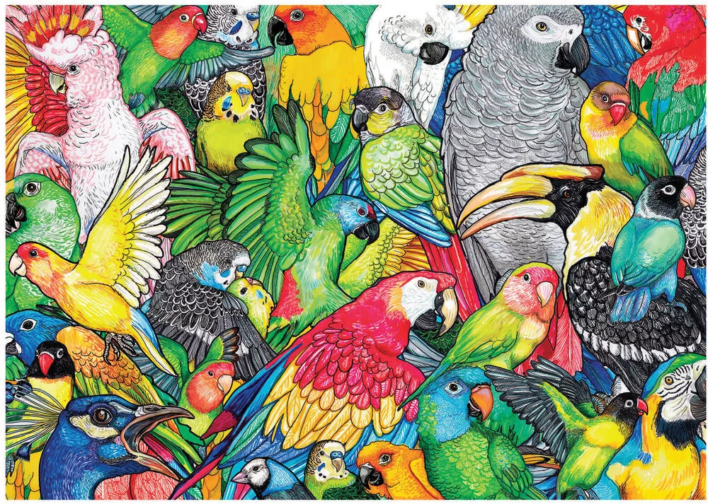 PUZZLE PERROQUETS  500 PIECES