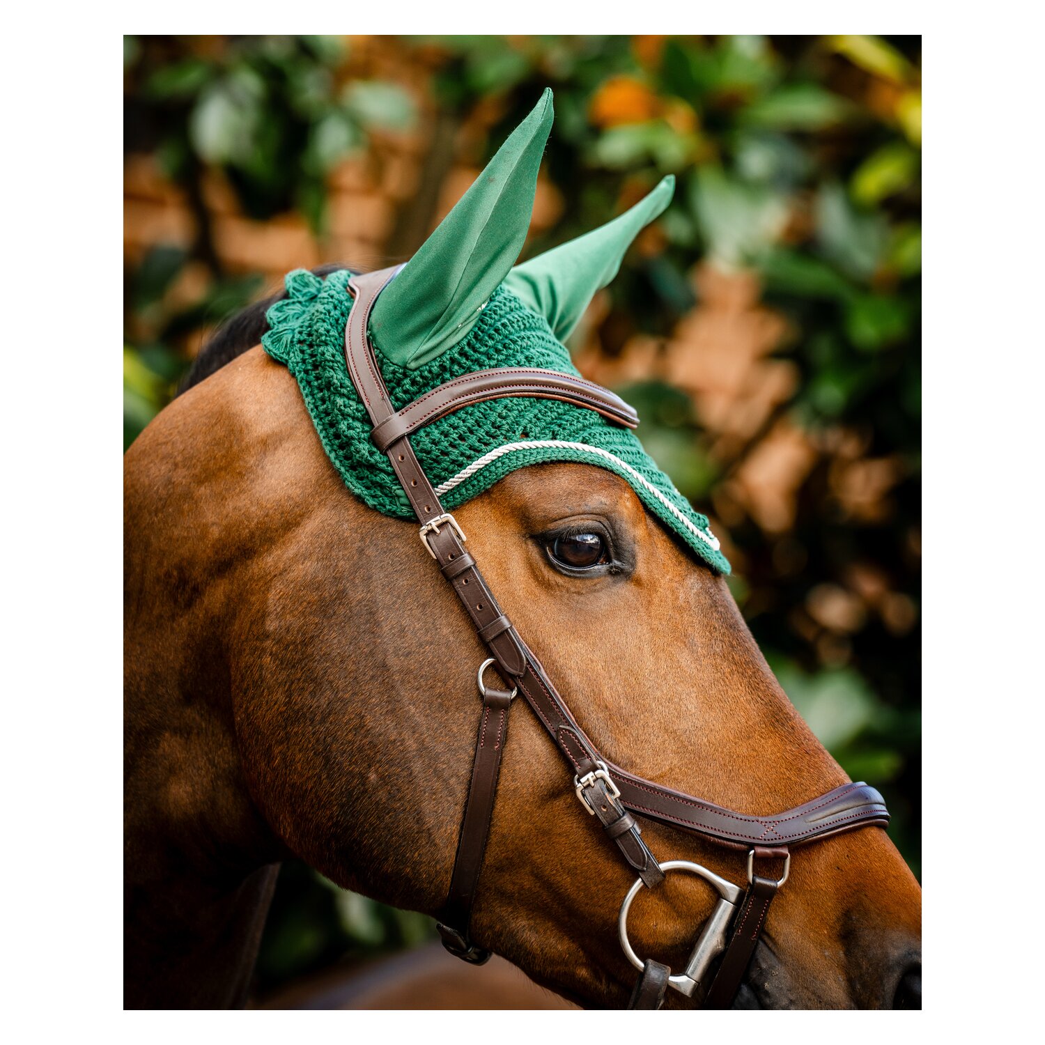 HORSEWARE Signature Fliegenohren  - green - VB/WB