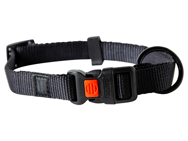 Halsband met lijn