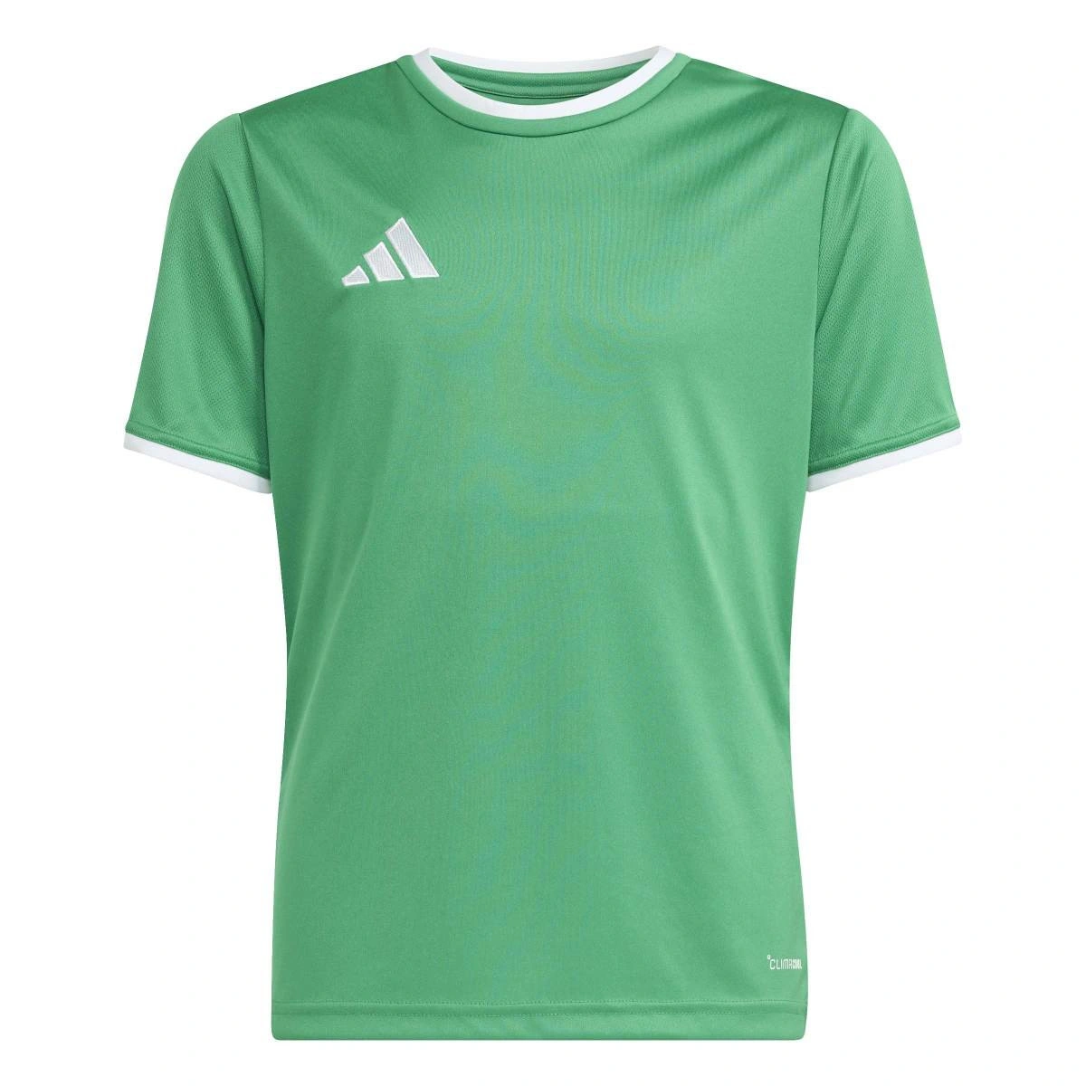 T-Shirt adidas Entrada 26 Criança