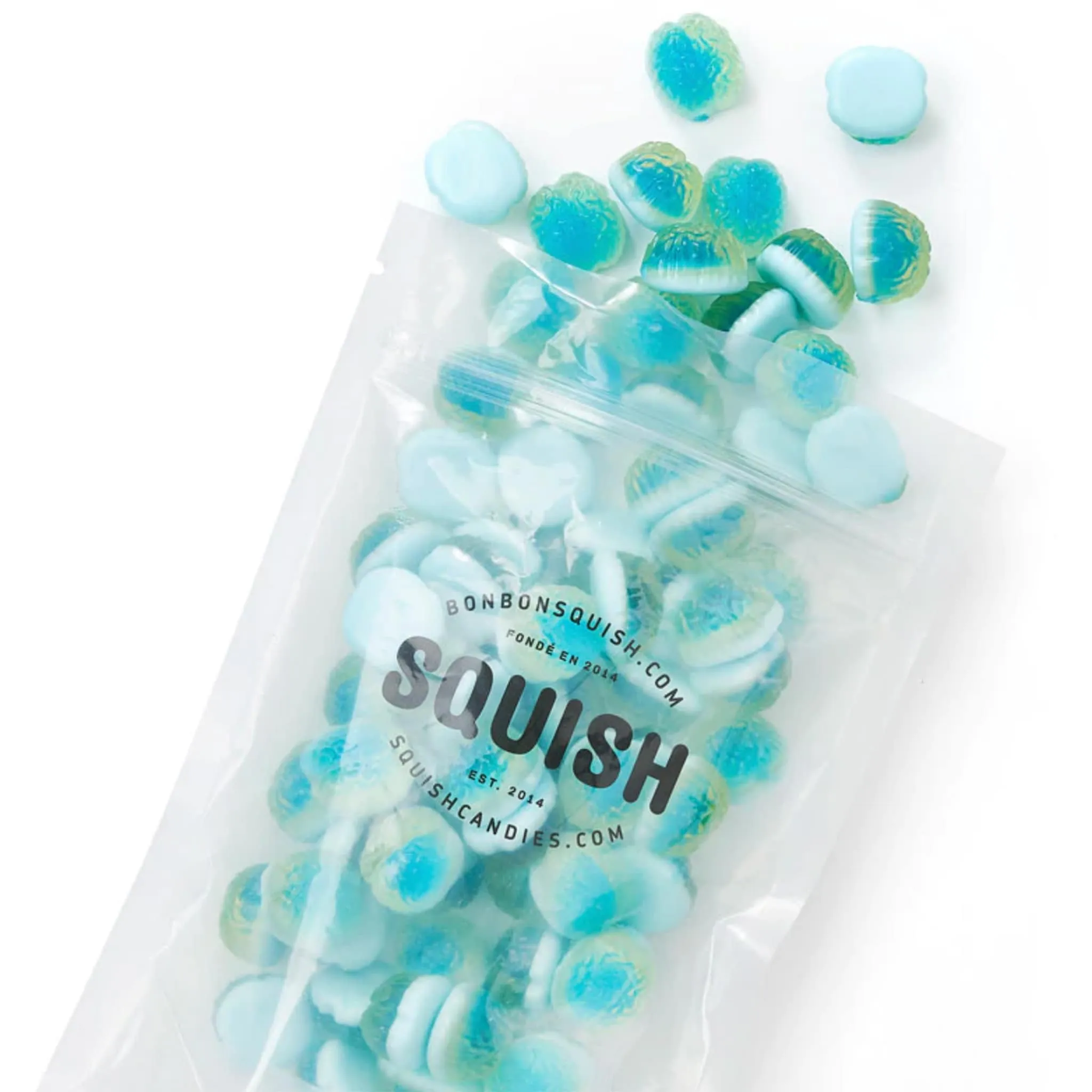 Squish Bonbons Cerveau Glacé 120g