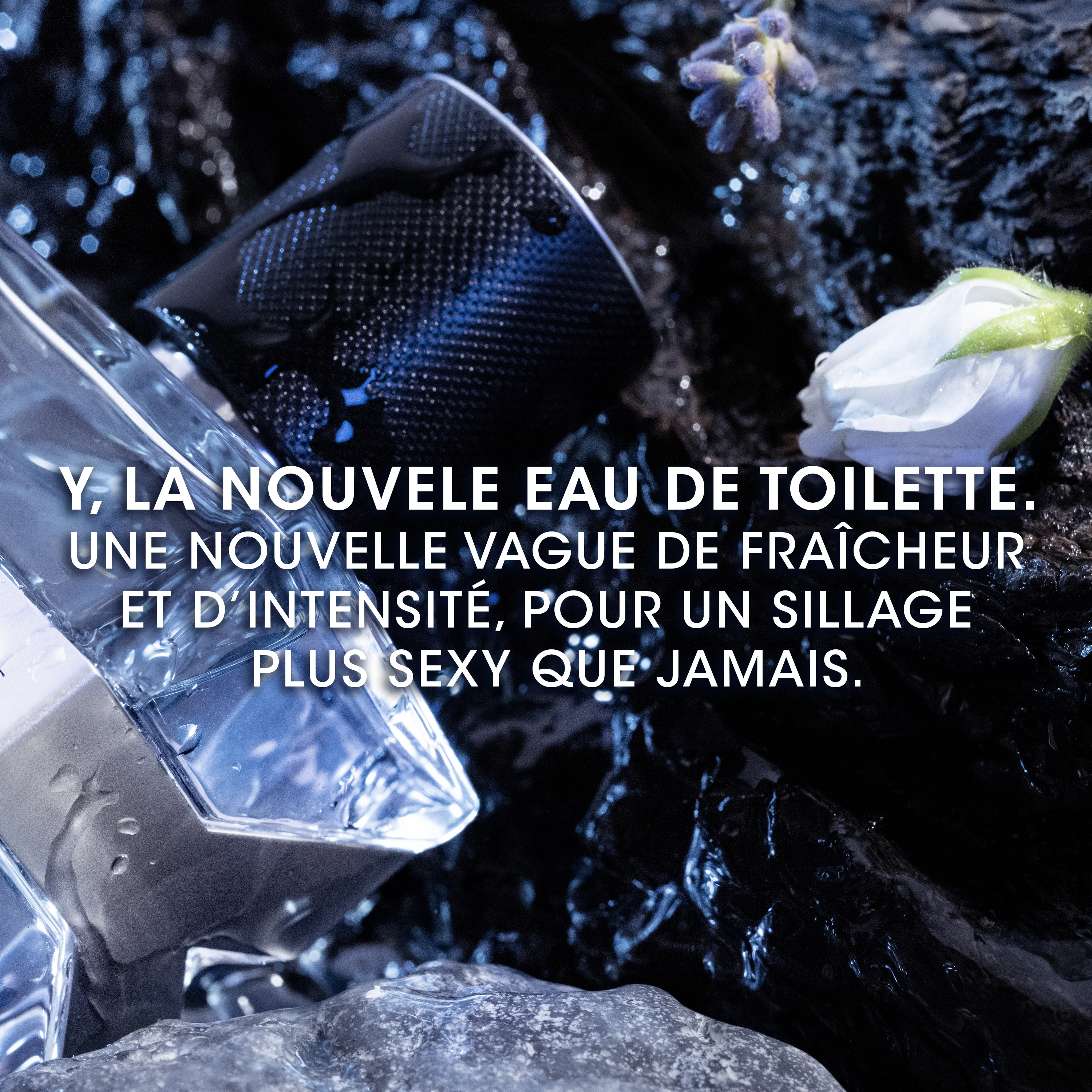 Y Eau de Toilette |
