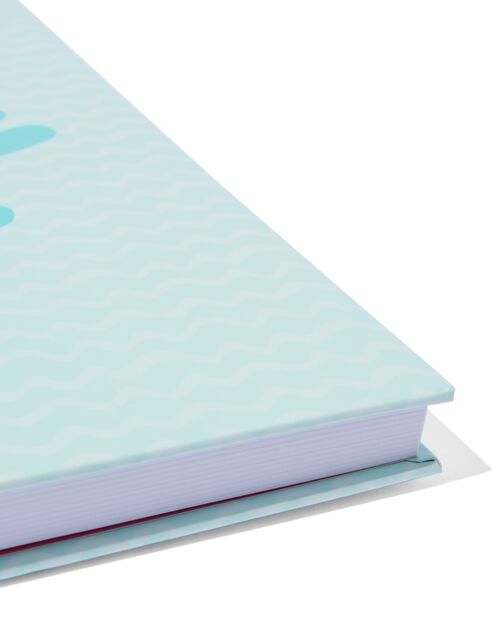 dummy book
