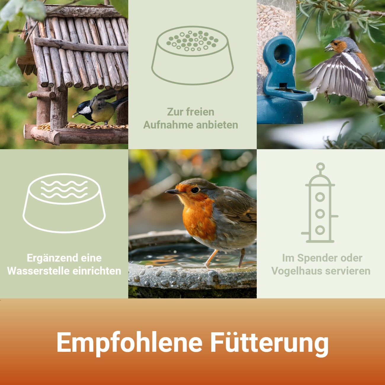Panto SONNENBLUMENKERNE GESCHÄLT 1kg