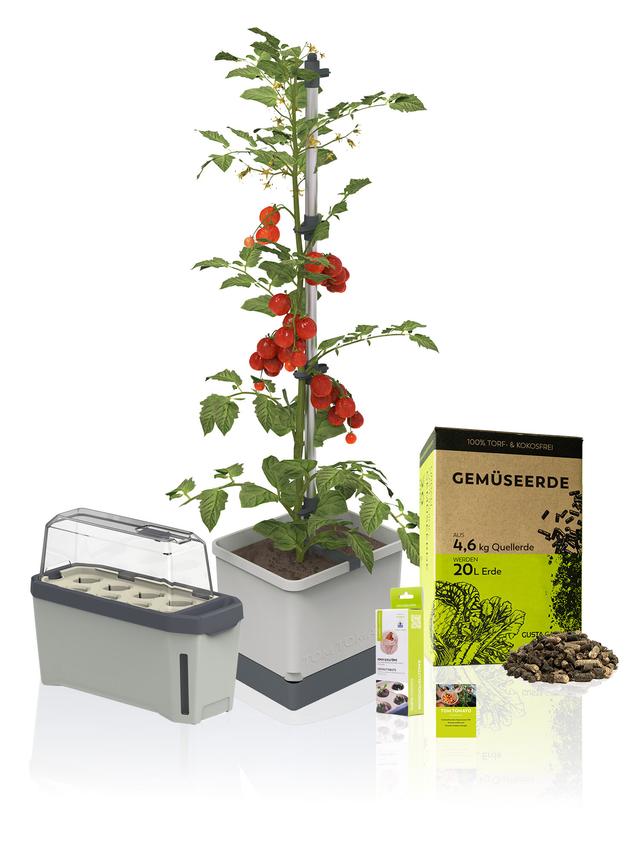 Tomaten Starter-Set für Balkon und Garten