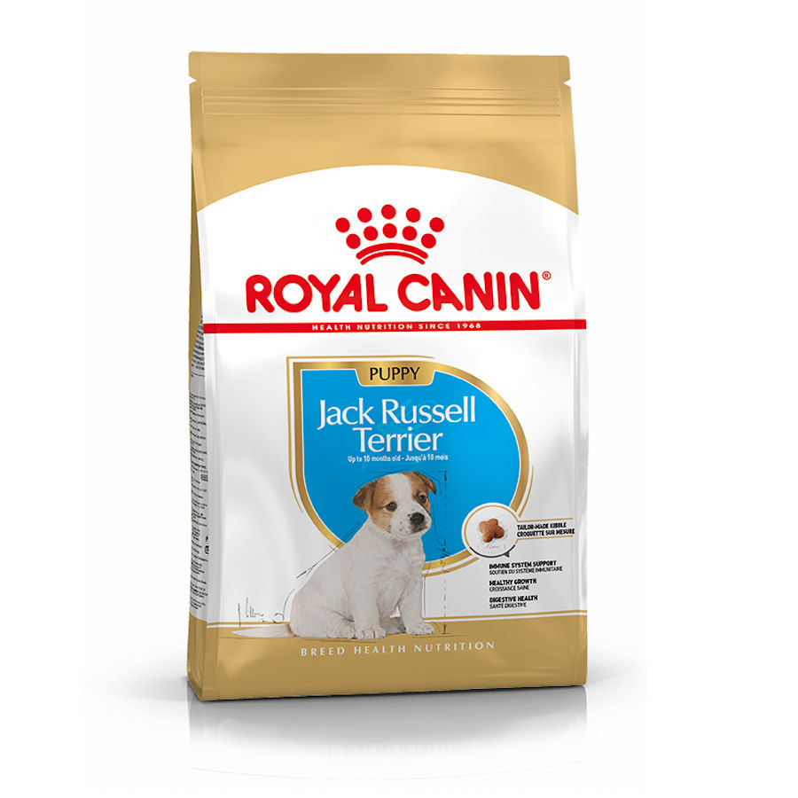 Ração Royal Canin para filhotes de Jack Russell Terrier