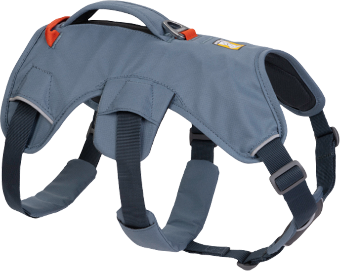 Ruffwear Web Master Hundegeschirr mit Handschlaufe Slate Blue XXS