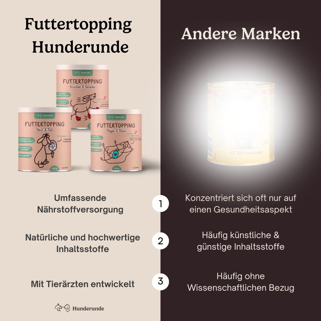 Hunderunde Vitalitäts-Set Haut, Gelenke & Darm